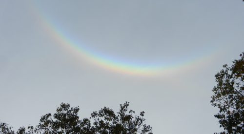 Img2012-10-27 153952