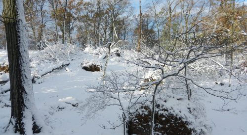 Img2012-11-08 091046